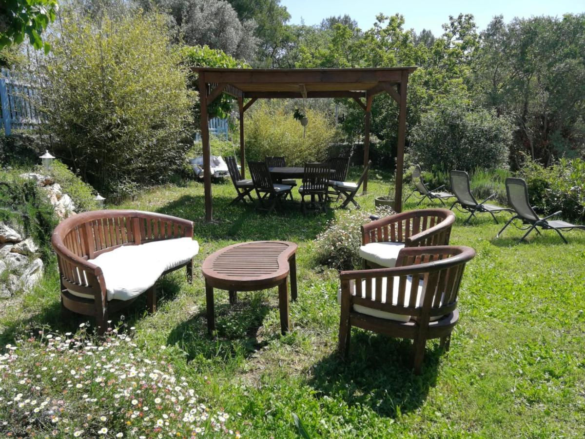 Bastide Provencale Les Muriers D'Engaspaty Сеян Екстер'єр фото