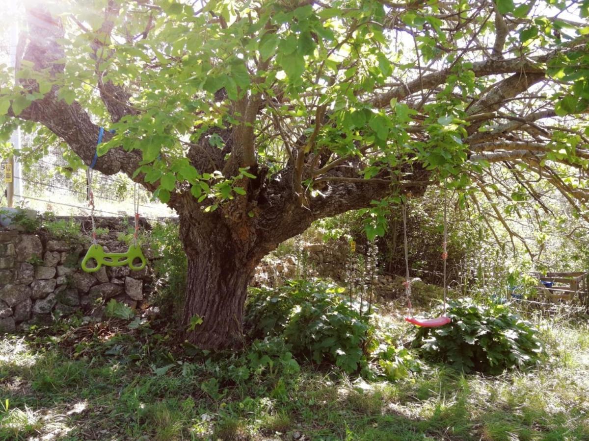 Bastide Provencale Les Muriers D'Engaspaty Сеян Екстер'єр фото