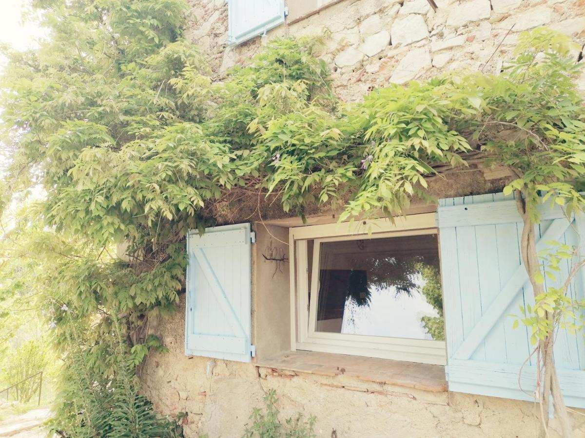 Bastide Provencale Les Muriers D'Engaspaty Сеян Екстер'єр фото
